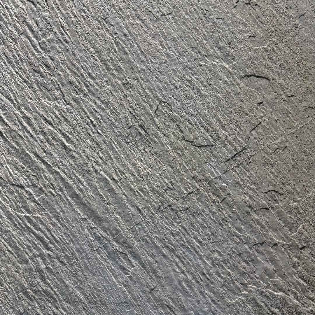Prune 2 Prune - Image 1